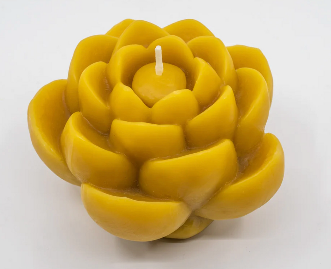 Lotus Flower Beeswax Candle ~ Sunbeam Candles