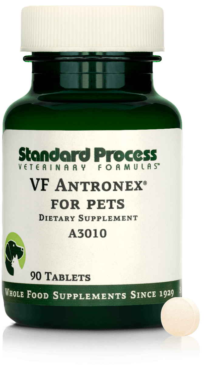 VF Antronex for Pets (90 tablets) ~ Standard Process Veterinary