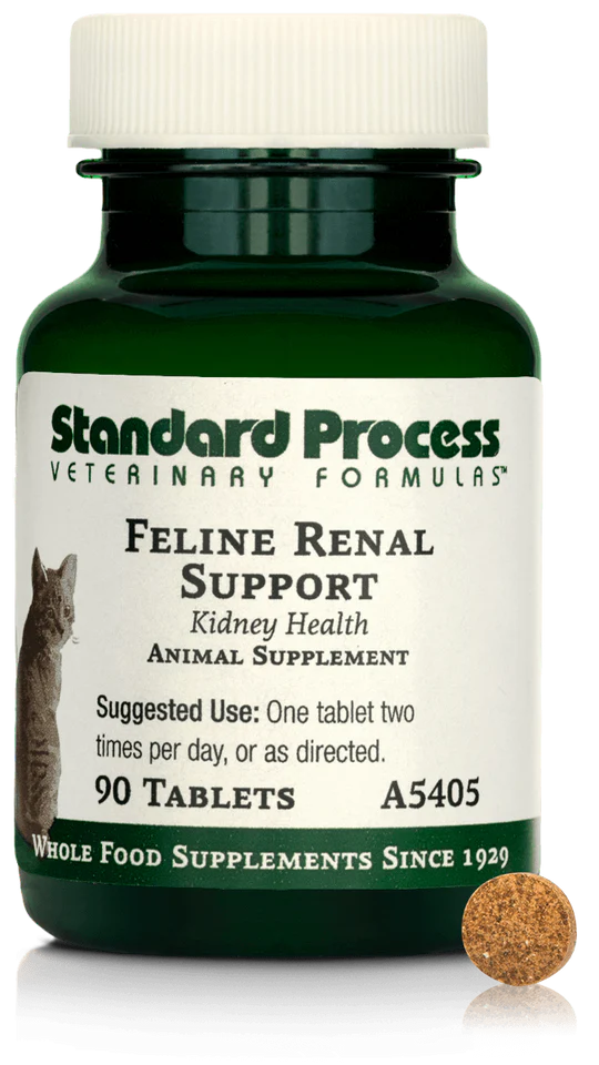 Feline Renal Support (90 tablets) ~ Standard Process Veterinary