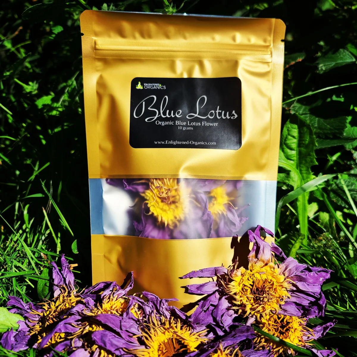 Enlightened Organics Organic Whole Blue Lotus Flower (10 grams)