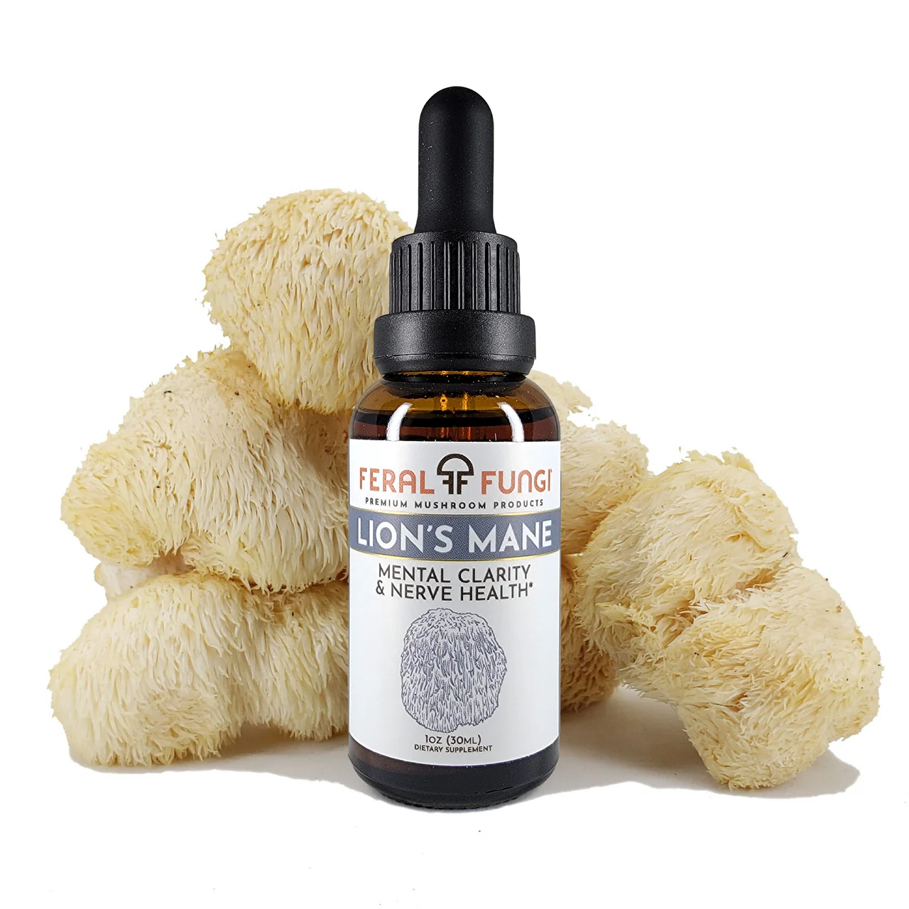 Feral Fungi Lion's Mane Spagyric Tincture - 2 oz.