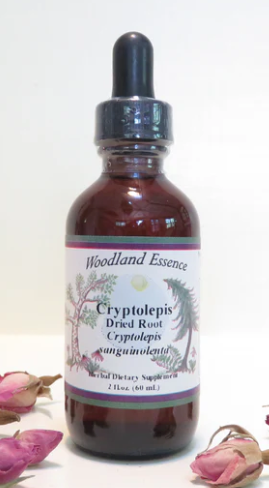 Cryptolepis Root (8 fl. oz.) ~ Woodland Essence