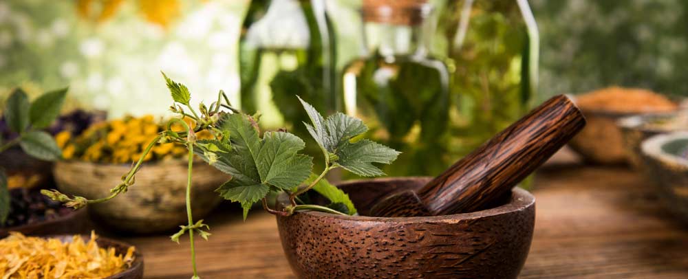 Fresh green herb sprig in a wooden mortar and pestle with bowls of dried flowers and blurred green glass bottles in the background.