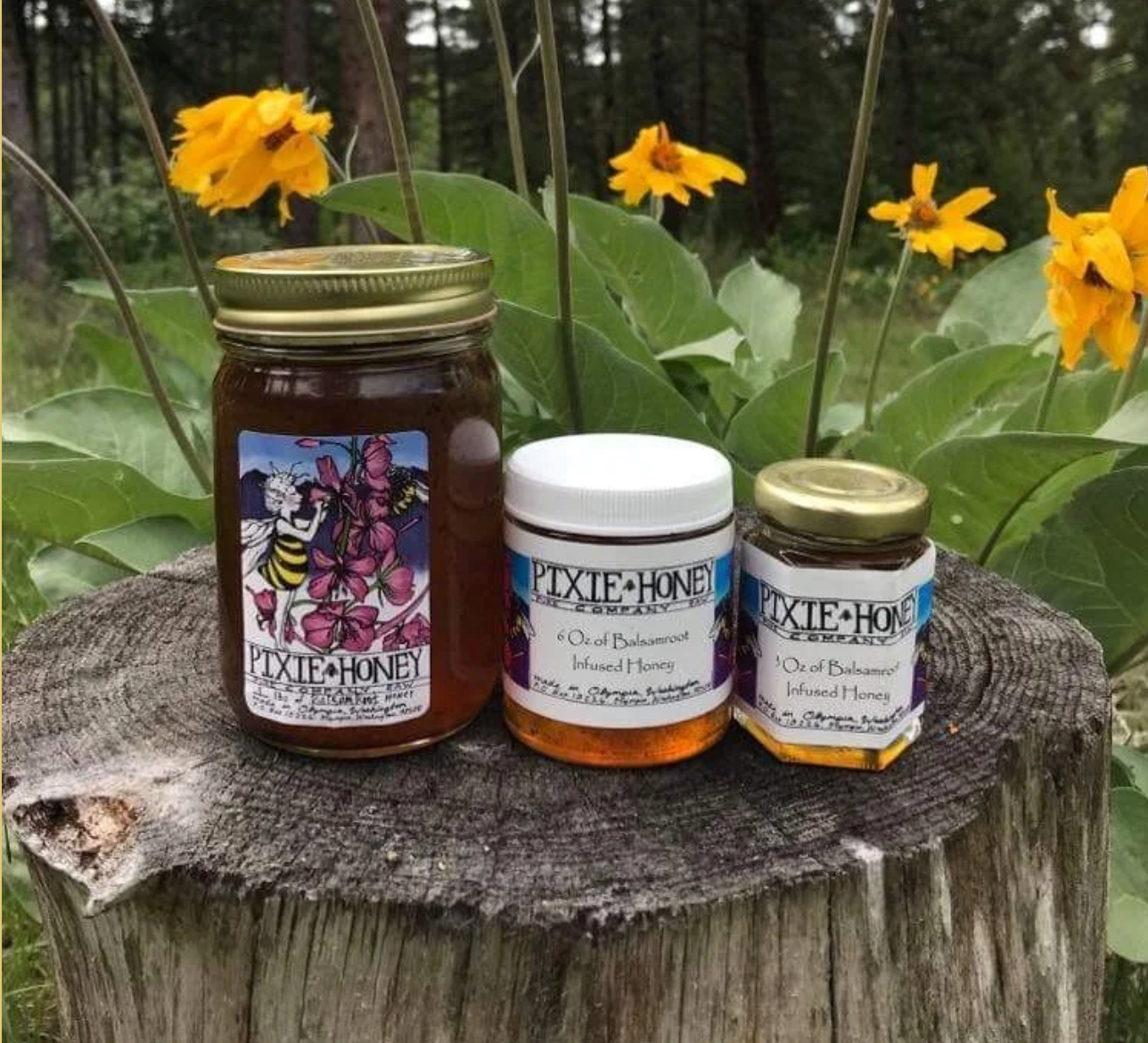 Pixie Honey Balsamroot Infused Honey - 3 oz.