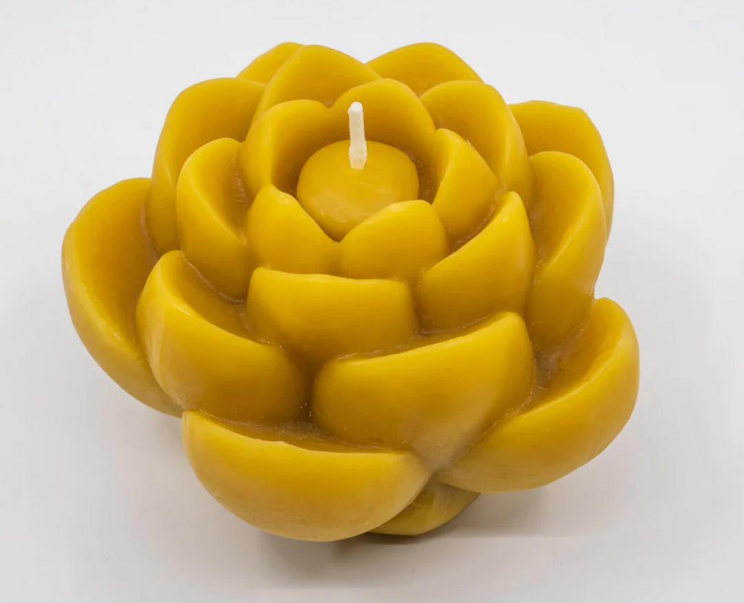Sunbeam Candles Lotus Flower Beeswax Candle