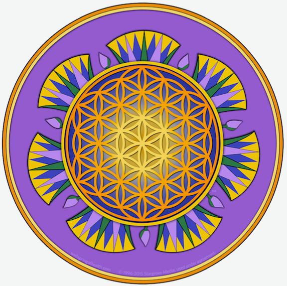 StarFlower holographic sticker (3”) ~ Health Resources Unlimited