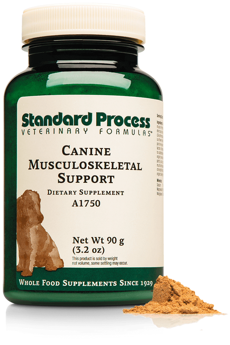 Canine Musculoskeletal Support ~ Standard Process Veterinary