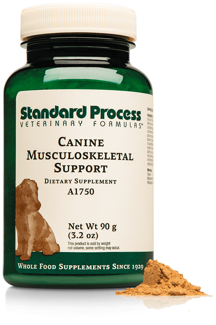 Canine Musculoskeletal Support ~ Standard Process Veterinary