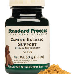 Canine Enteric Support ~ Standard Process Veterinary