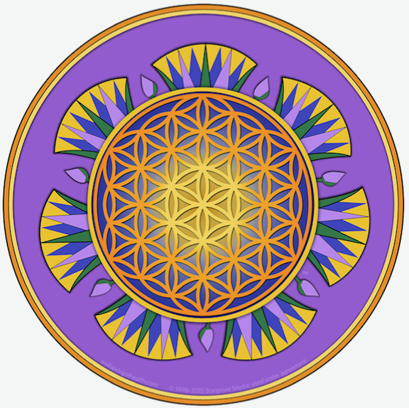 Health Resources Unlimited, Inc. StarFlower sticker (3”)