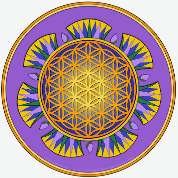 Health Resources Unlimited, Inc. StarFlower sticker (3”)